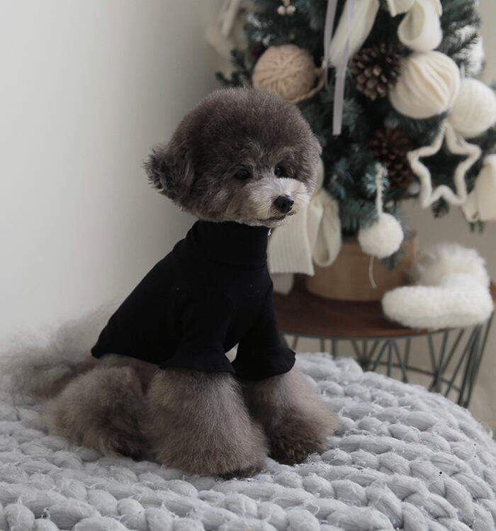 袖フリルネックポーラ S ~ XL 4color / 犬服 新作 秋冬 トップス 可愛い 犬の服 シンプル ペット洋服 ドッグウェア 犬 猫