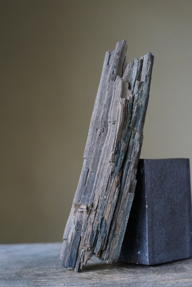 珪化木　Petrified Wood