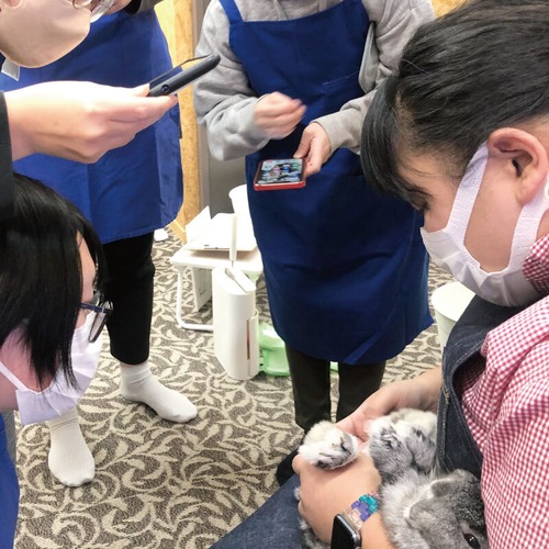 第23回プログルーミング講座