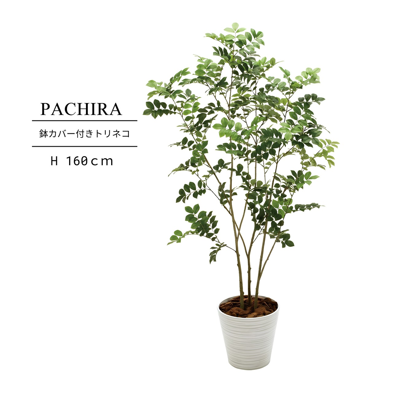 鉢カバー付き トリネコ160㎝［人工観葉植物・フェイクグリーンT］