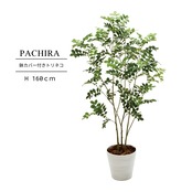 鉢カバー付き トリネコ160㎝［人工観葉植物・フェイクグリーンT］
