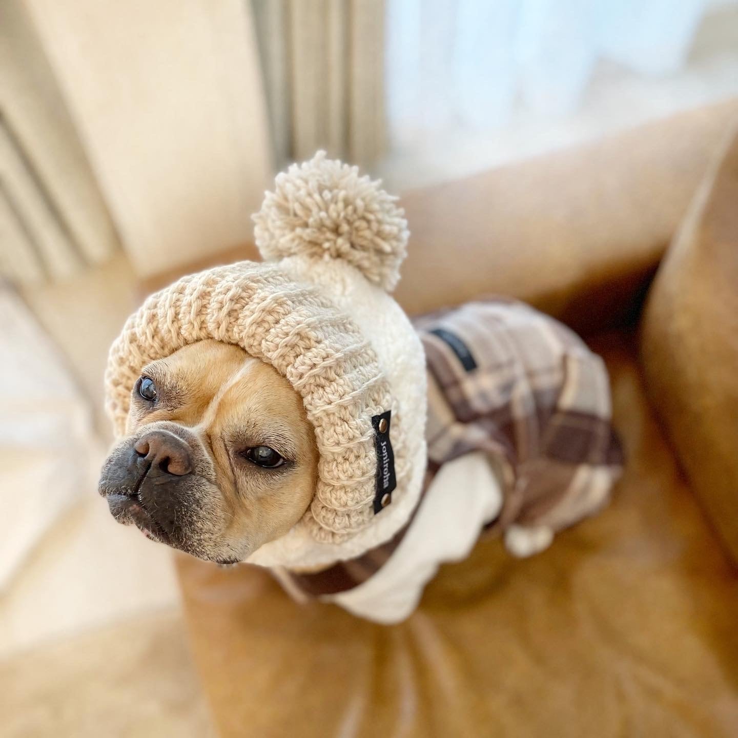 あったかふわふわ帽子❤️　スノーホワイト　犬用帽子　ニット帽　帽子　犬服　犬服ハンドメイド　小型犬　フレブル服　パク服