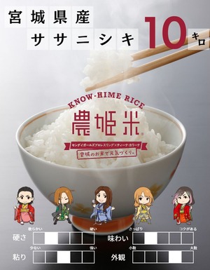 令和5年度産 ササニシキ10kg（精米後・白米のみ） 【送料無料】