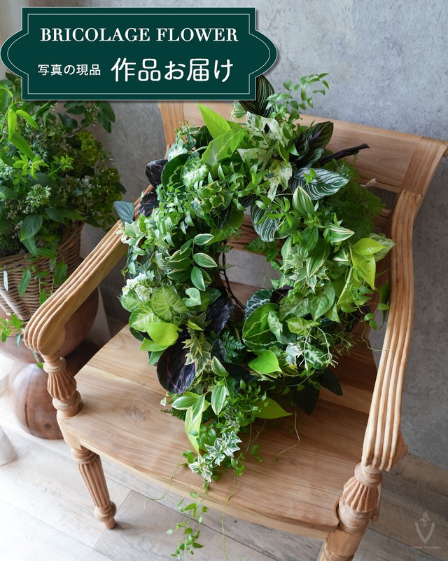 【送料込み・寄せ植え】 ルドベキアとガイラルディアの寄せ植え