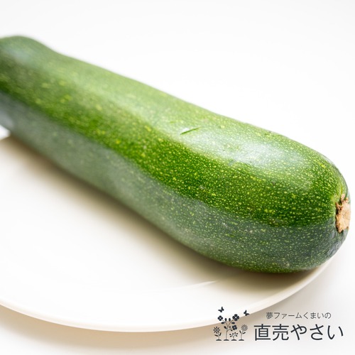 ズッキーニ 1本 ： 7月の朝採り直売野菜 新鮮な夏野菜 7月第2土曜日以降発送予定