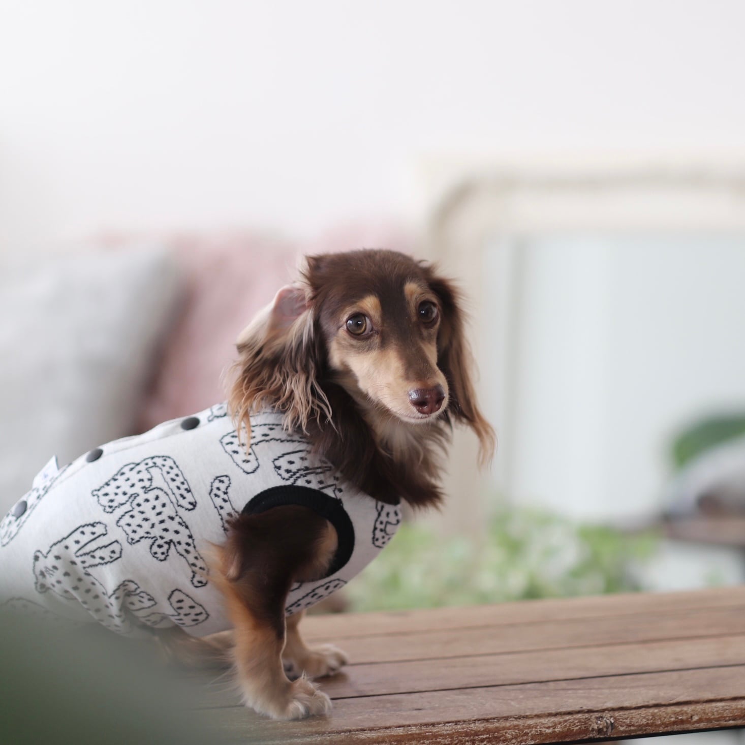 術後服になるロンパース（男のコ）ホワイトパンサー | カニンヘン