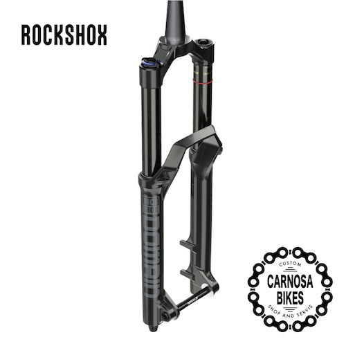 【ROCKSHOX】DOMAIN [ドメイン] 29インチ Boost 180㎜ 44㎜-offset