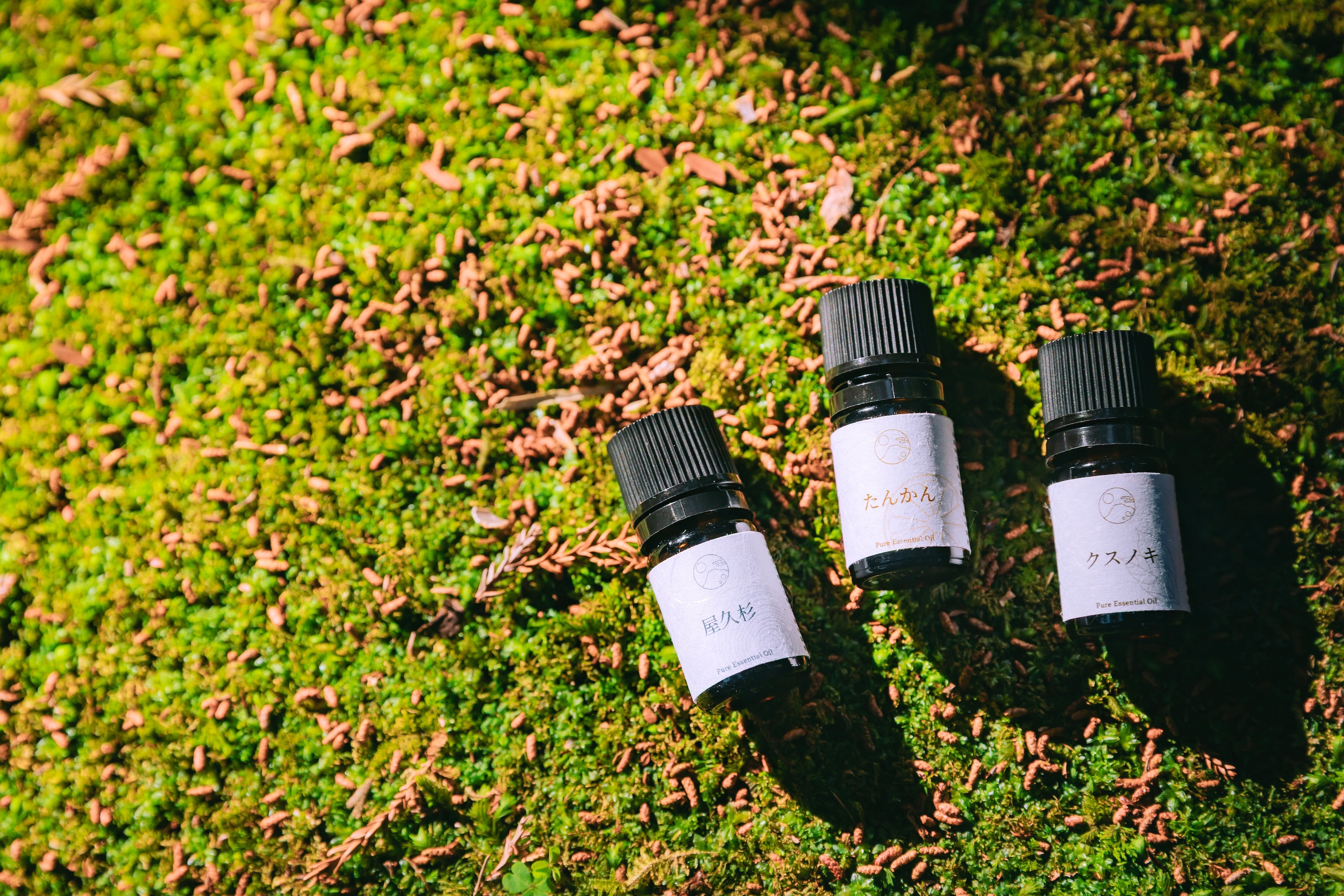 【限定特価】極上品 天然 伽羅（奇楠）精油 5ml 【最高品質 100%】 ◎屋久島精油｜クスノキ / Yakushima Essential Oil – Kusunoki