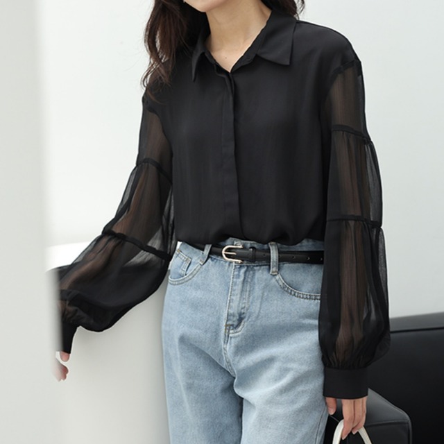nuanced sheer blouse　k1060