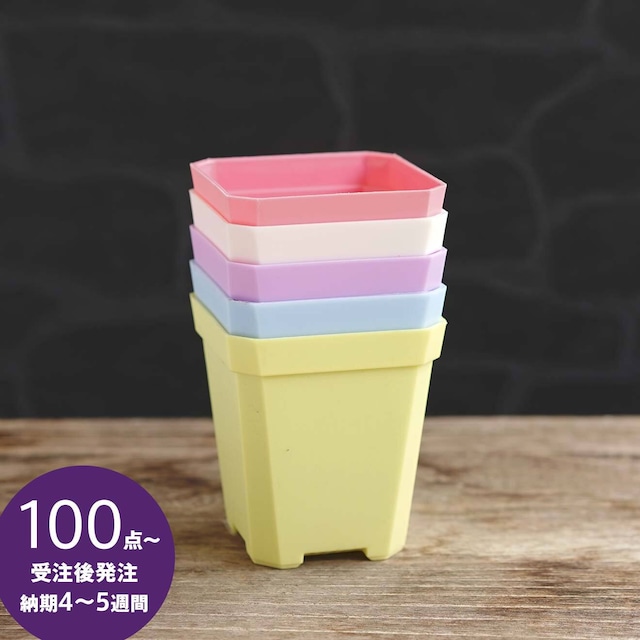 【受注後発注】【組合せOK】Solid Square Pot 7cm 100個セット