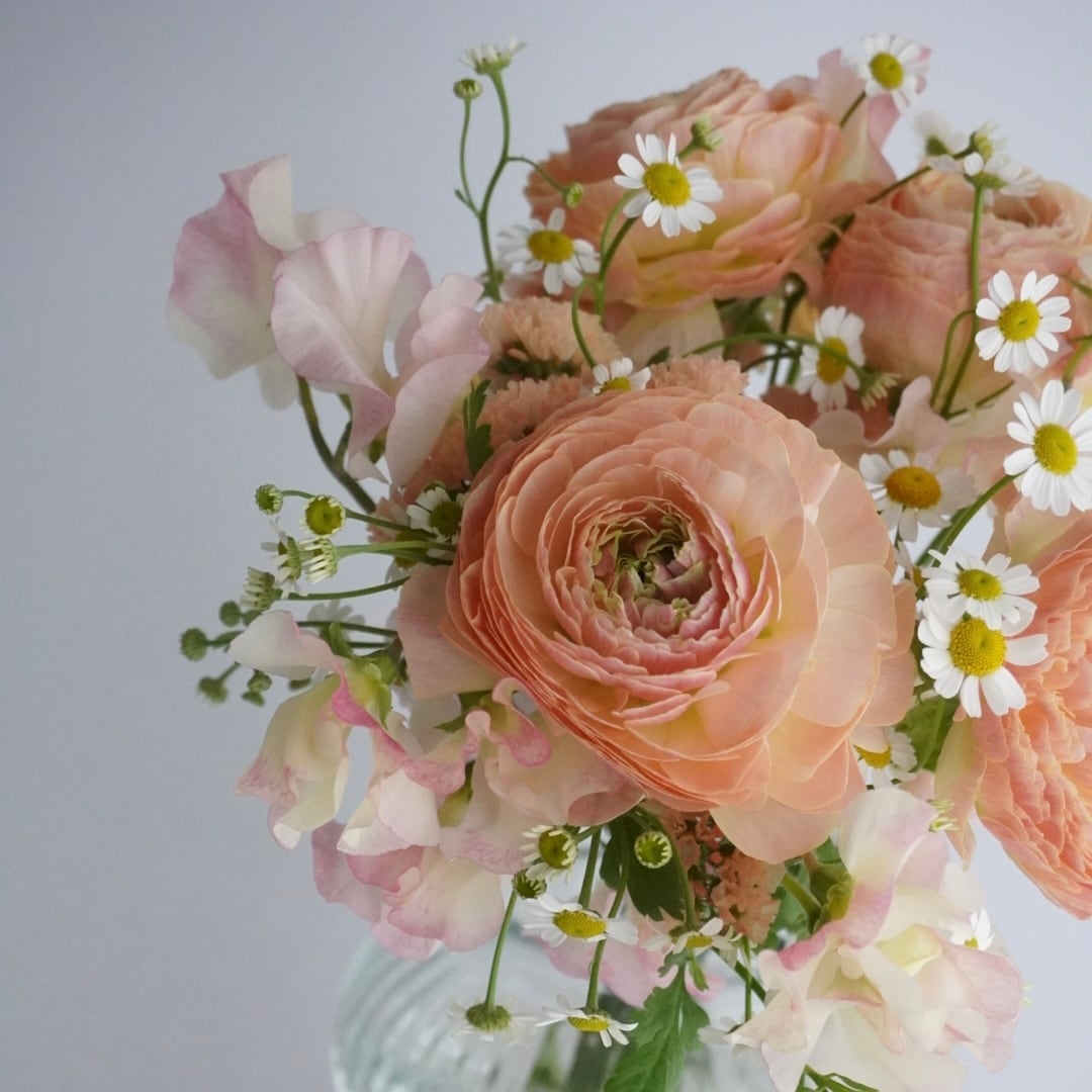 【3/29まで】コーラルカラーのひだまりの花束