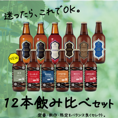 【全部楽しめる！】迷ったらこちら！しっかり楽しむ12本飲み比べセット