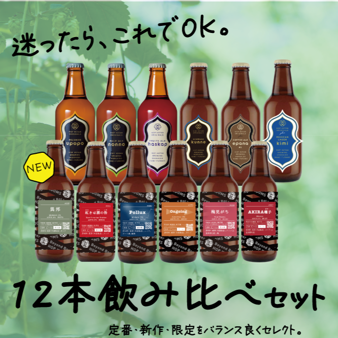 【全部楽しめる!】迷ったらこちら!しっかり楽しむ12本飲み比べセット
