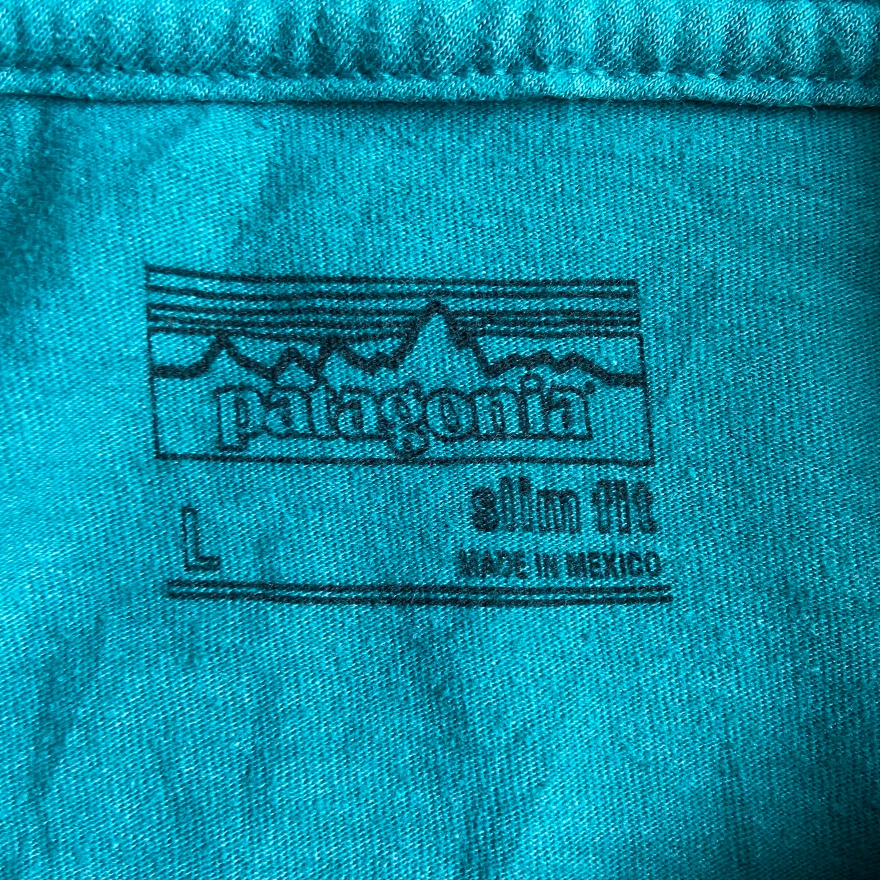patagonia パタゴニア フロントロゴプリント オーガニックコットン T 