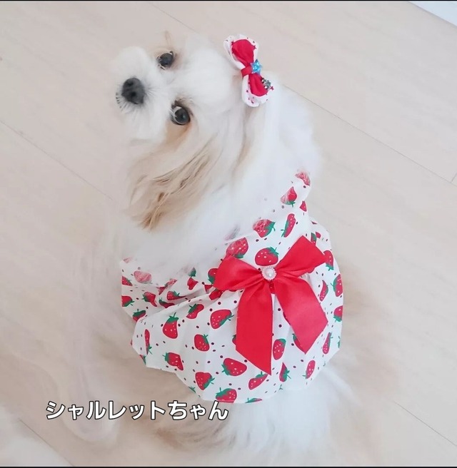 苺のワンピース