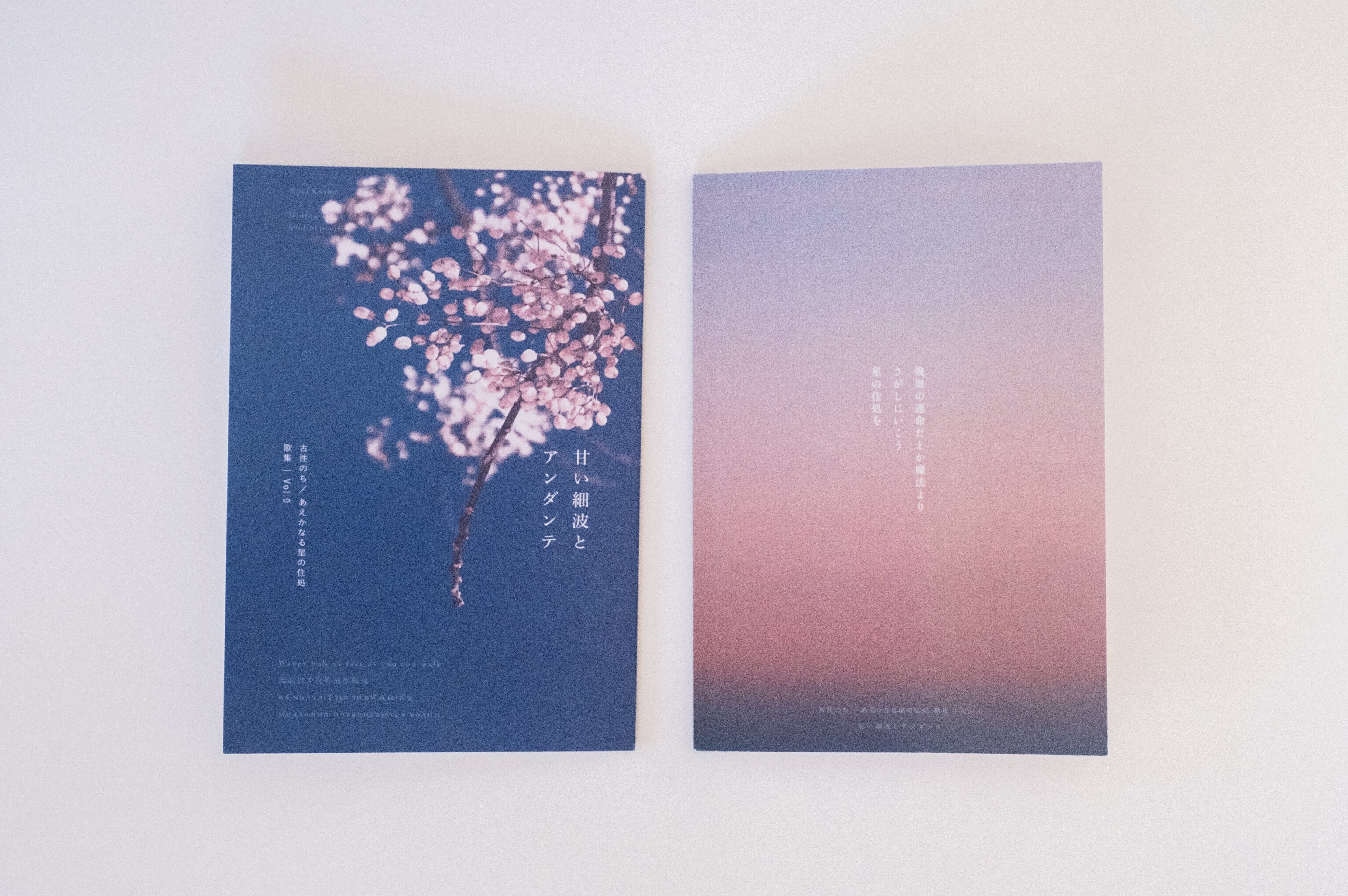 古性のち 短歌集 甘い細波とアンダンテ Vol.0 | Noci Kosho shop