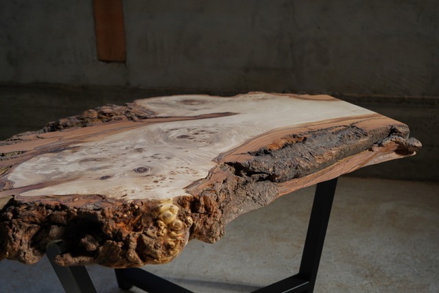 樹皮が野生的なポプラ 一枚板 ローテーブル