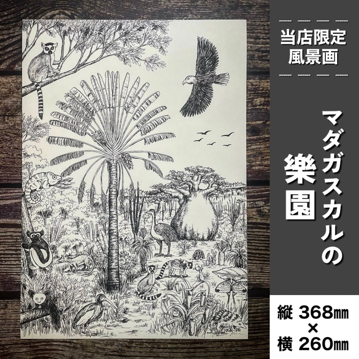 地球を感じるグラキリス】複製原画 | BOKUTO