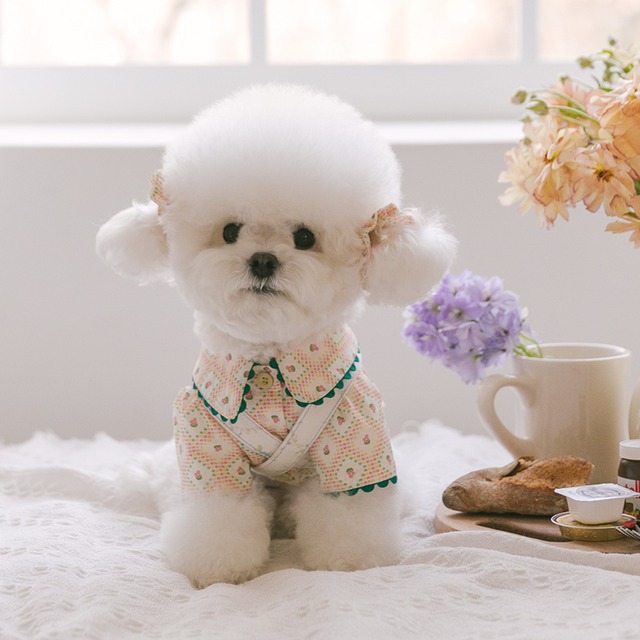 〈即納アイテム〉Rolling PEPE パステルシュシュ オーバーパンツ（グリーン）