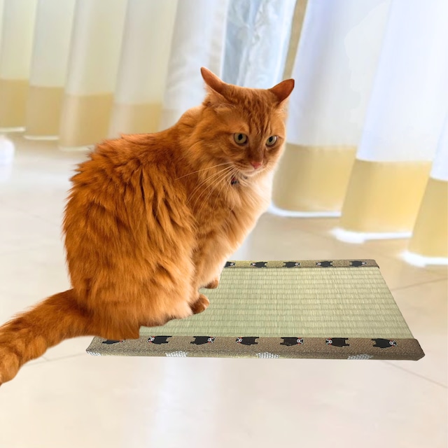 熊本県産い草100% お猫様専用ミニ畳 梅柄 | NIHONT〜にほんと〜