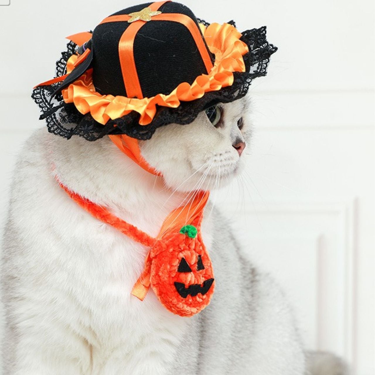 ハロウィンウィッチハット 00539