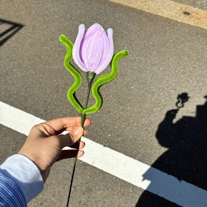 【アウトレット】チューリップ ＜試作品＞