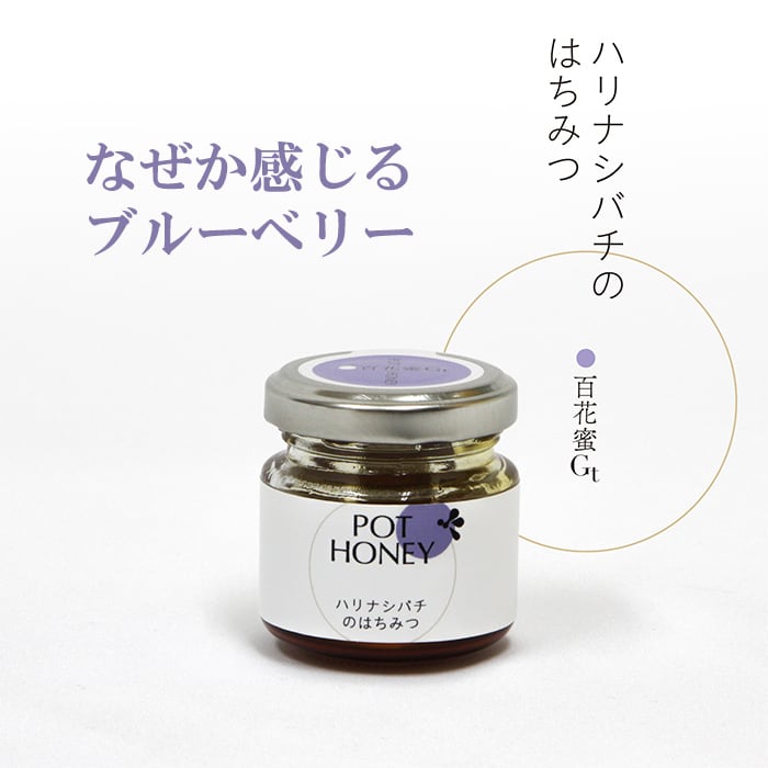お得！】ハリナシバチの蜂蜜 POT HONEY 6種食べ比べセット 各40g | 蜜