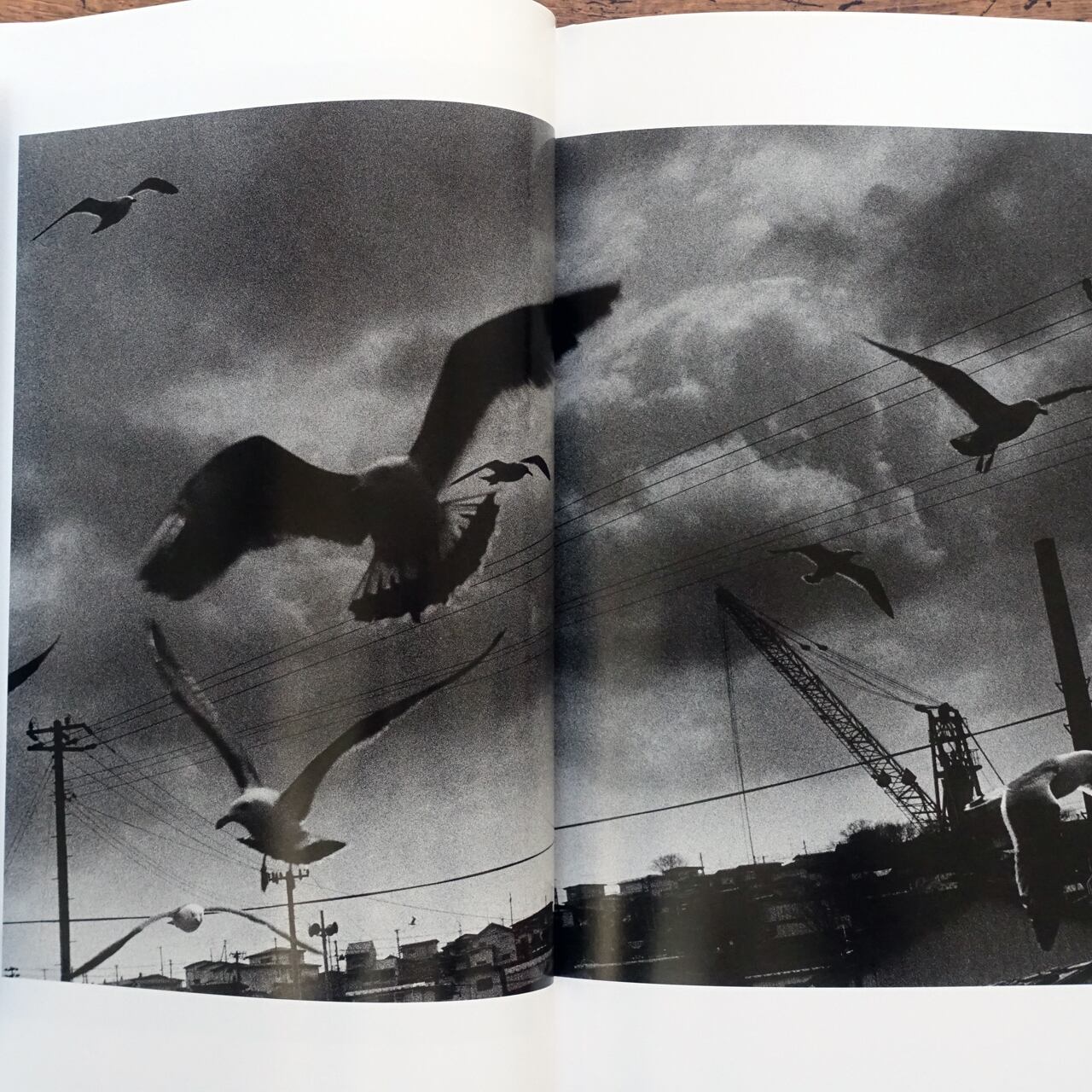 北点 North Point 中居裕恭 Hiroyasu Nakai | タイムカプセル