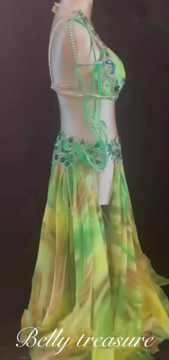 ベリーダンス オーダーメイド衣装 LY 1804 202201 | Belly Treasure®︎