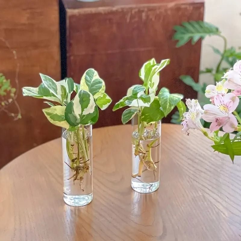 壁掛けプランター 花瓶 試験管プランター フラワーベース 壁掛け