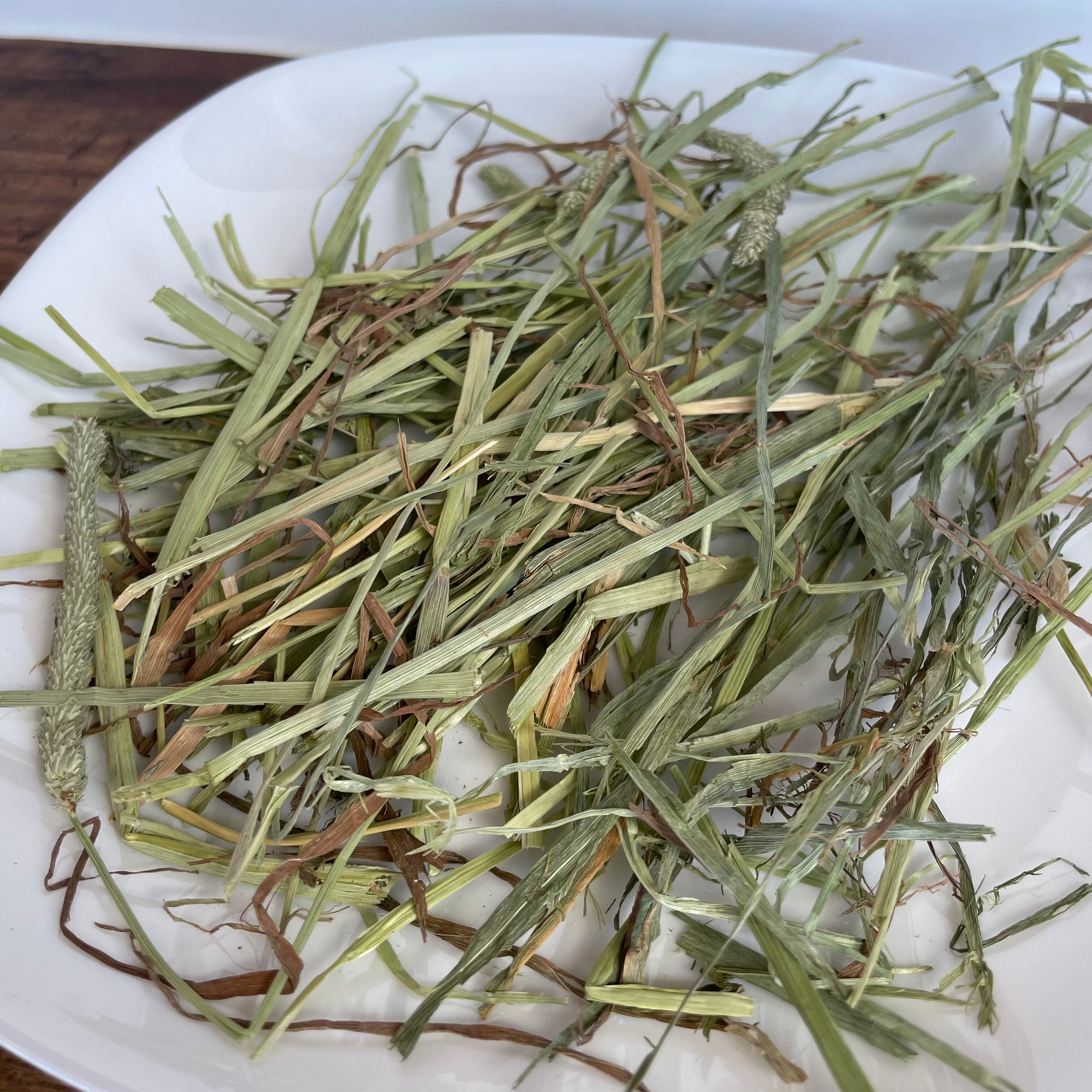 2025年刈取り　プレミアムグレード　カナダ産（ドライランドエリア）チモシー 3kg