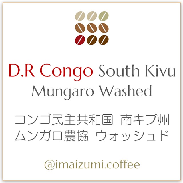 【送料込】コンゴ ムンガロ農協 ウォッシュド - D.R Congo Mungaro Washed - 300g(100g×3)