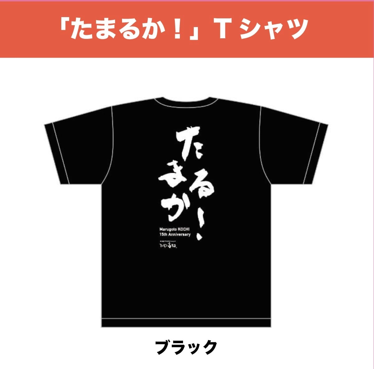 15周年記念Tシャツ【A】(ブラック)
