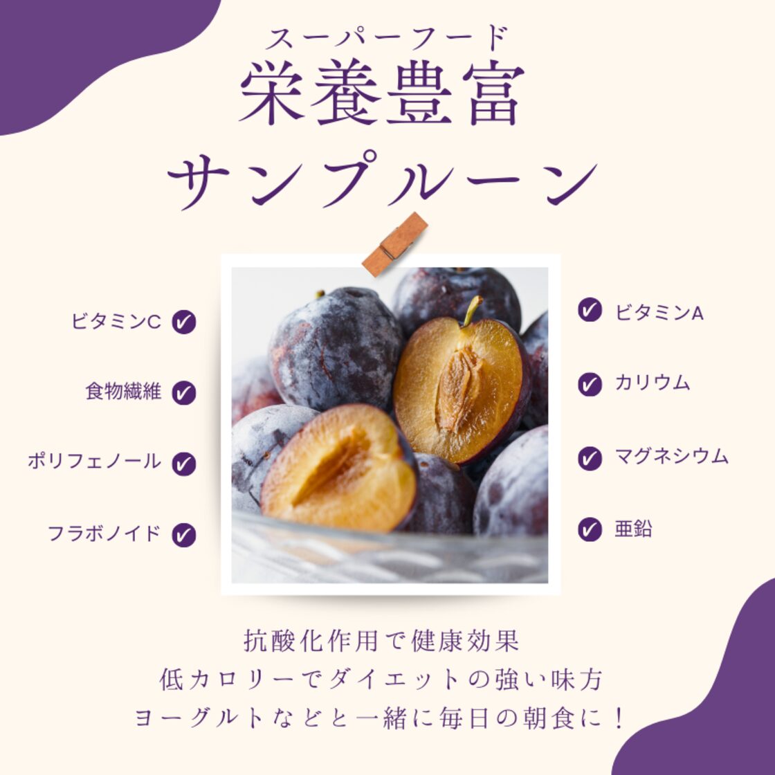 2024年度先行予約受付中！】北海道余市産 サンプルーン 1.6kg [松村 