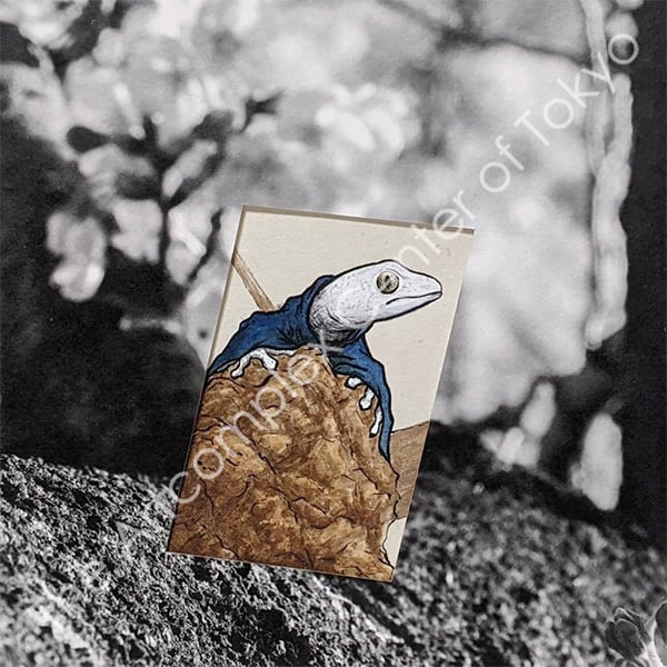 Tsuyoshi Shimizu × NaNaHa 合作