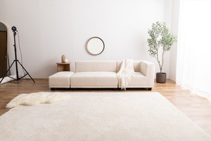 【単品】Sucre 2人掛けソファ