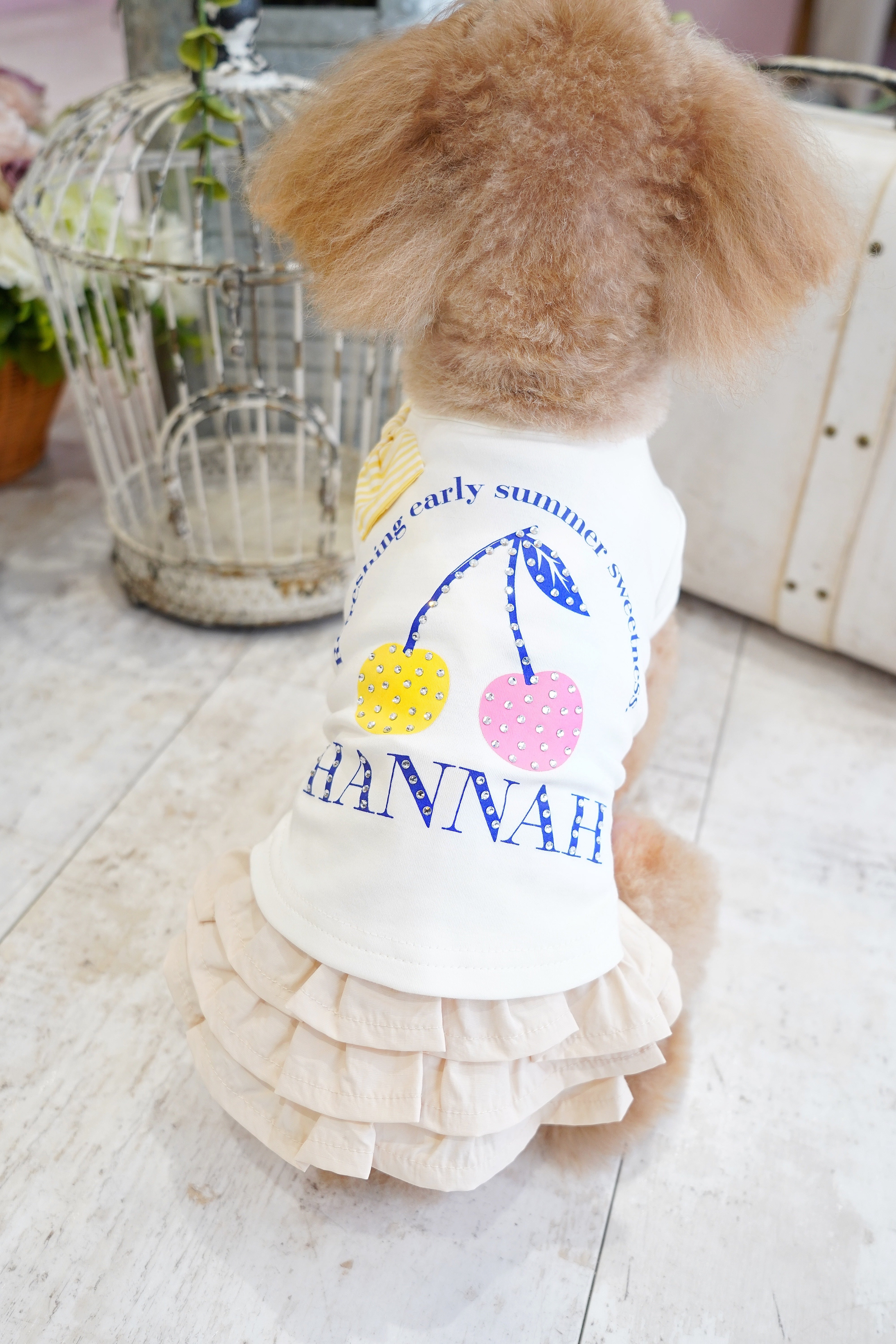 Harmony（アルモニー）XS-XL | hannah