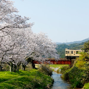 丹後鉄道_春_03