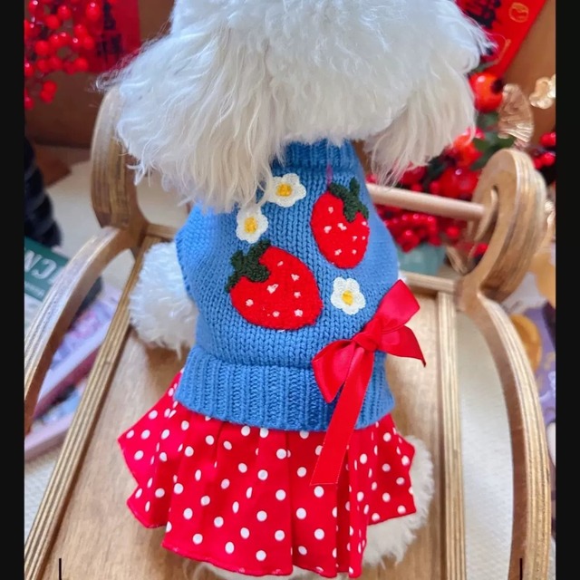 フラワーいちごワンピース　4593