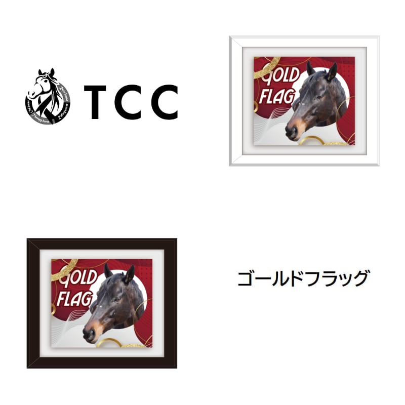 TCC x 馬Site TCCホース額縁マグネット ア～カ行 | TCC ONLINE STORE