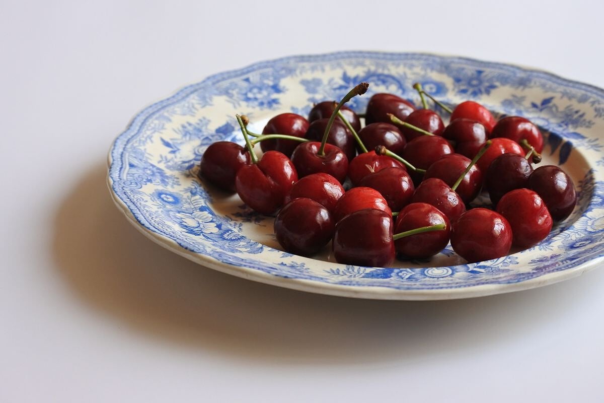 19th C. English Plate, Victorian Transferware Asiatic Pheasants B