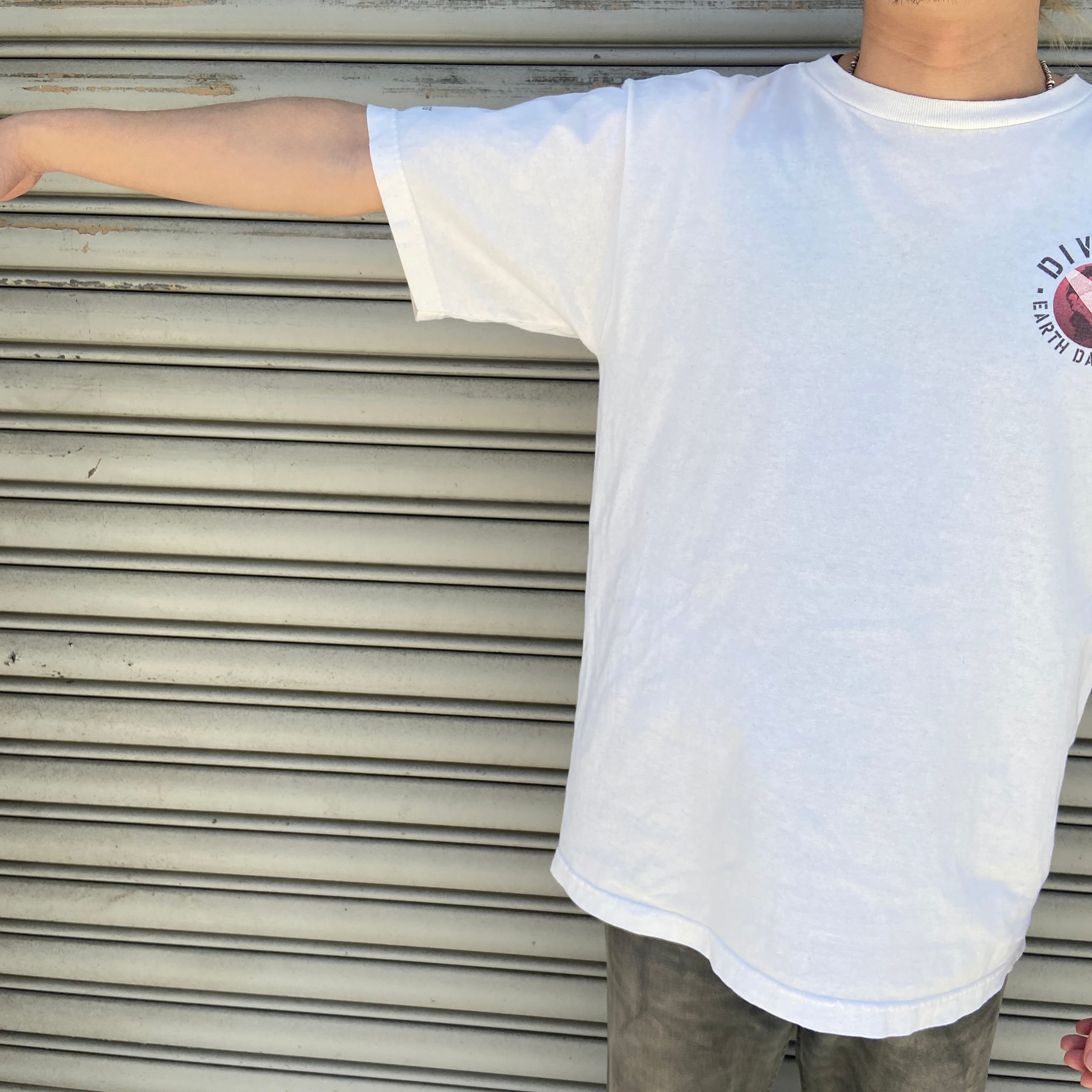 レア 00s USA製 パタゴニア ベネフィシャルTシャツ キナリ M 環境保護