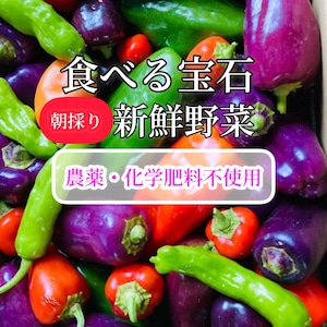 栽培期間中、農薬・化学肥料不使用 『食べる宝石』朝取り新鮮野菜セット 2kg