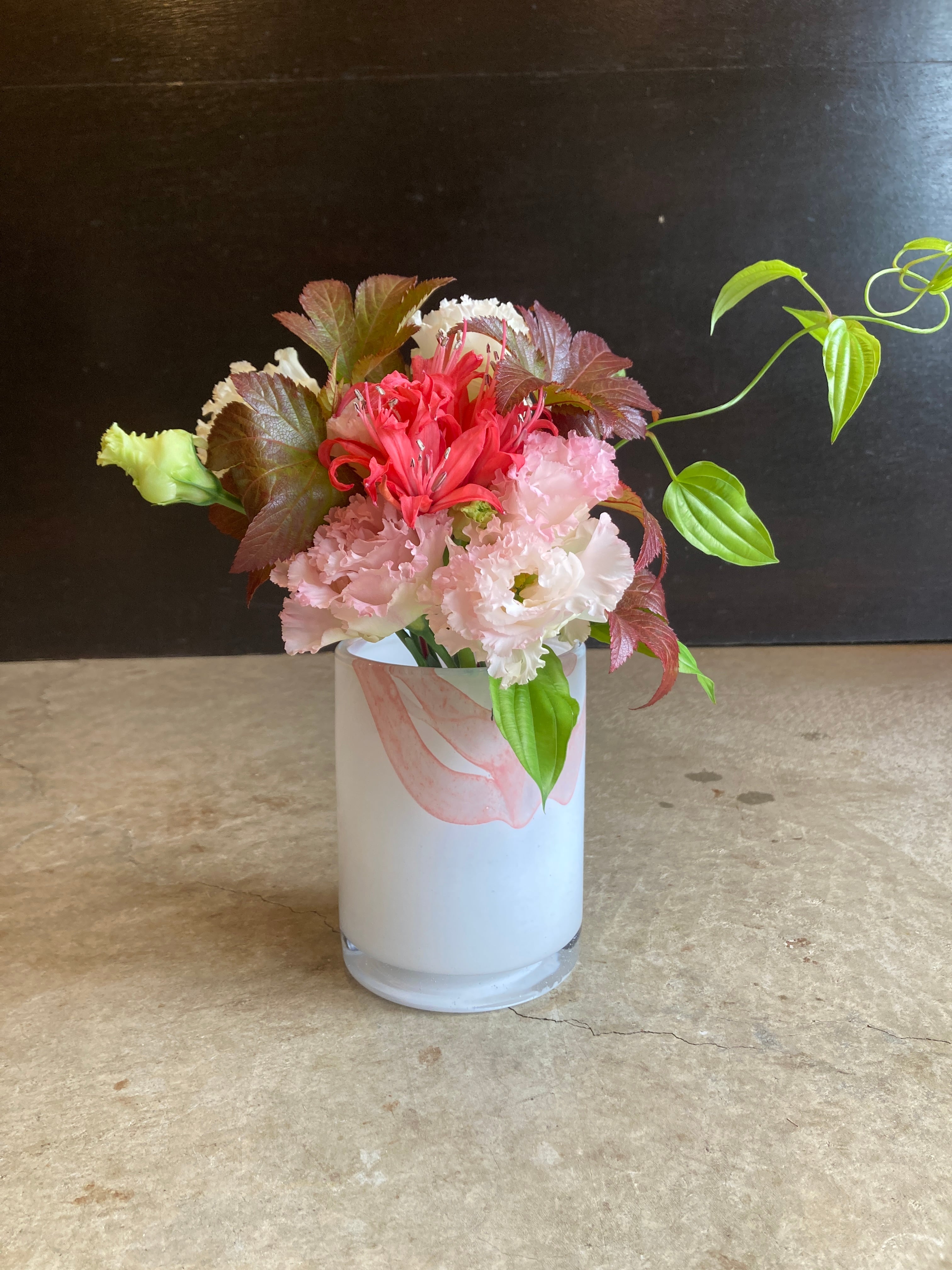 ju.Fred Bottle low | ポポラス植物店