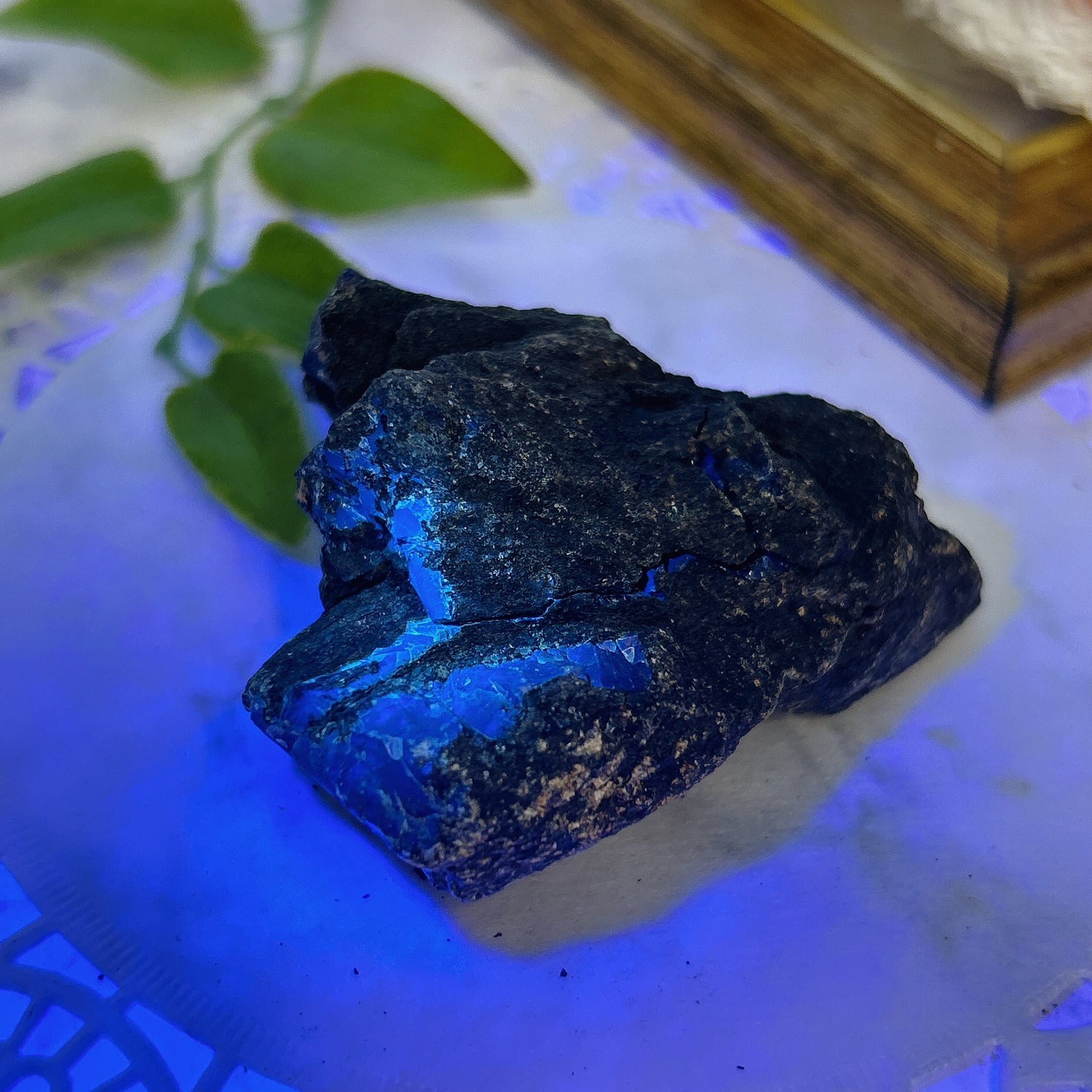 琥珀 原石 アンバー 宝石質 バルト三国産 こはく パワーストーン