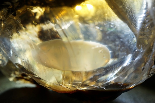 エッグ・イン・オパール Opal Egg 1331