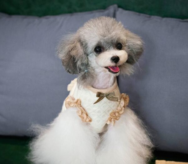 《予約》№1101996 ミトンスタイルトップス&ジャケ