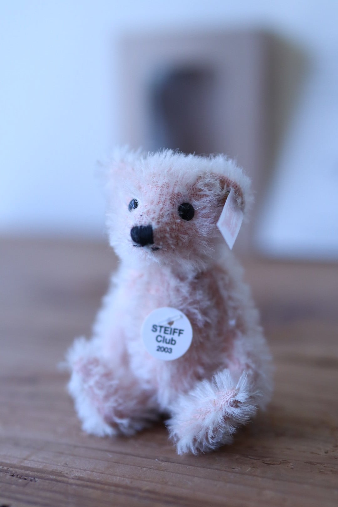 ヴィンテージ シュタイフクラブ テディベア SteiffClub2003