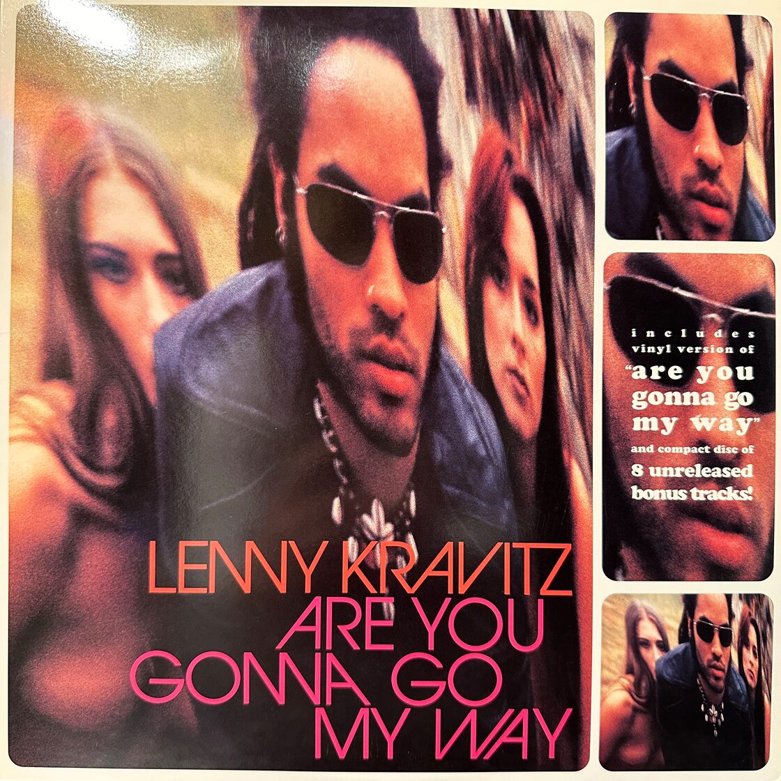 LP】LENNY KRAVITZ/Are You Gonna Go My Way | Pay ID