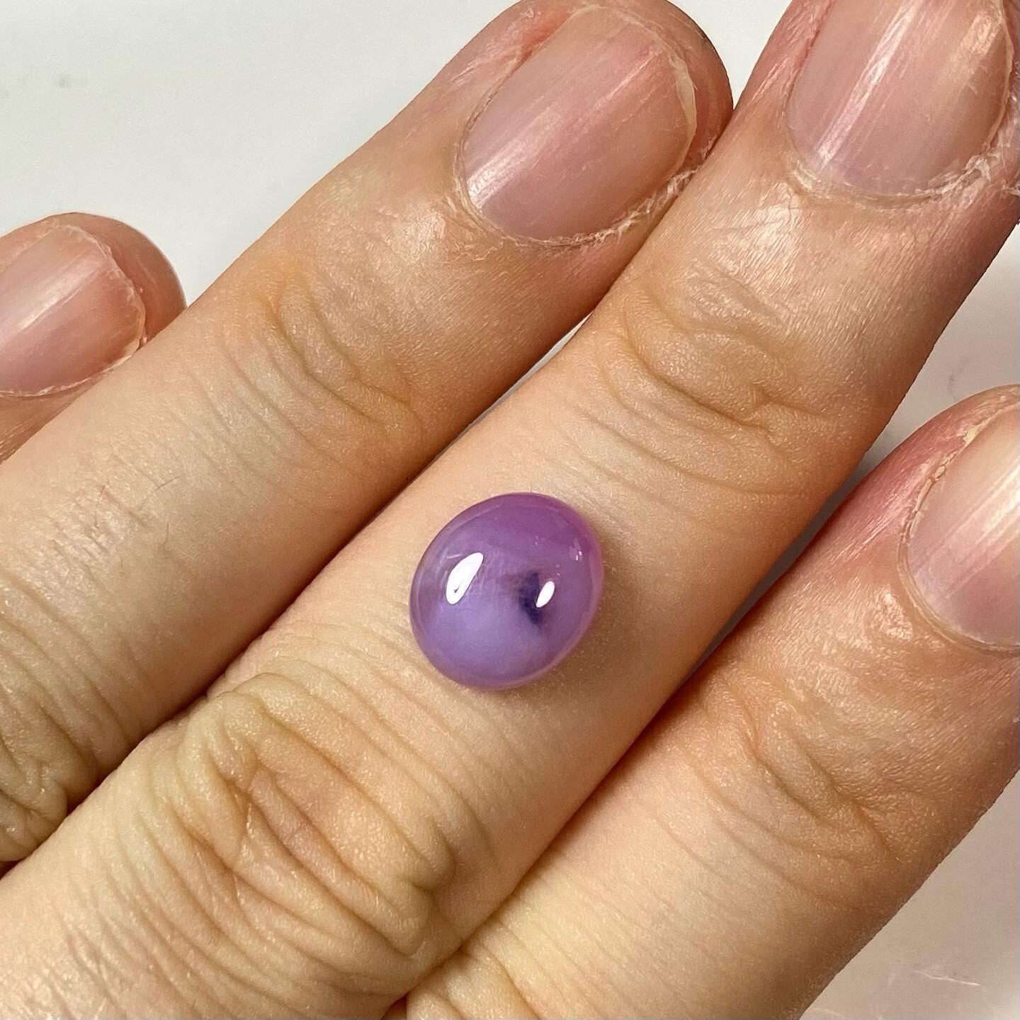 青い鳥たたずむサファイア